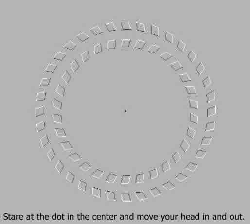 crazyillusion.jpg